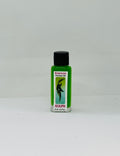 Eucalipto (Eucalyptus) – Spiritual Essence